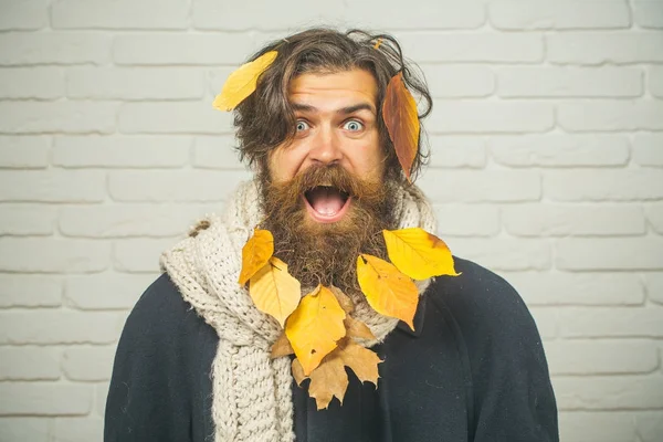 Sonbahar adam tutun yaprak yüzüne şaşırttı.