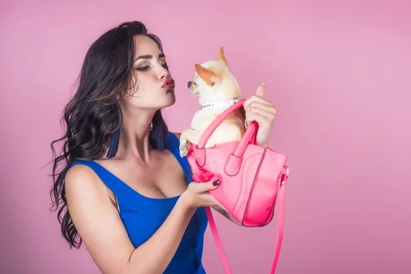 Femme propriétaire baiser chihuahua chien en sac rose — Photo