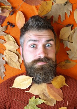 Doğal sarı sonbahar uzun sakallı bırakır.