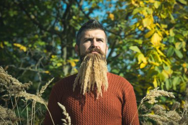 Hipster veya sonbahar doğa açık sakallı adam.