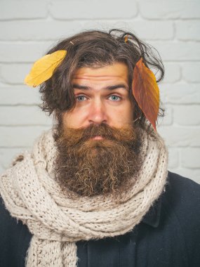 Tuğla duvar Güz, uzun sakallı adam.