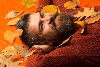 Berber ve Kuaför vasıl geçmiş bırakır.