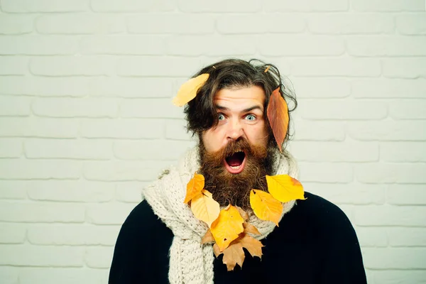 Hombre de otoño con la cara sorprendida tiene hojas amarillas en la barba — Foto de Stock