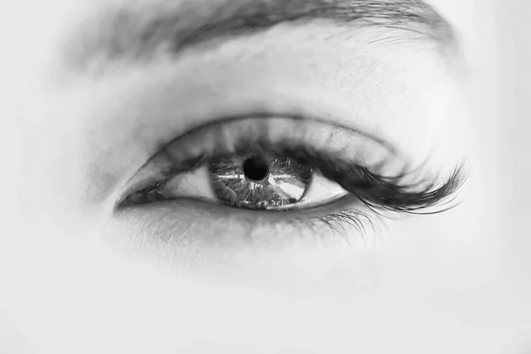 Female green eye with long eyelashes — Stock Photo, Image