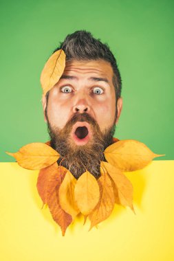 Hipster veya yeşil zemin üzerine sonbaharda sakallı adam.