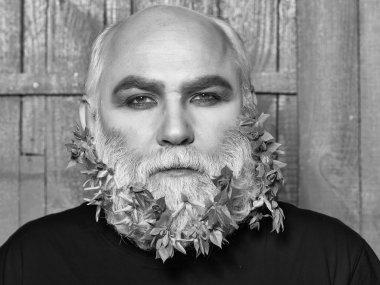 yaşlı adam çiçek ve yaprak sakal