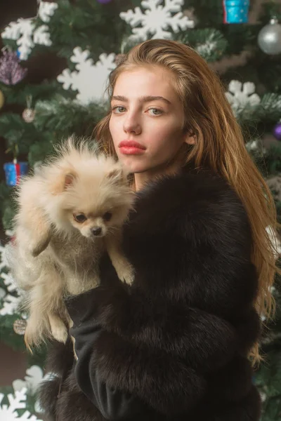 Ano novo do cão, Natal mulher segurar animal de estimação — Fotografia de Stock