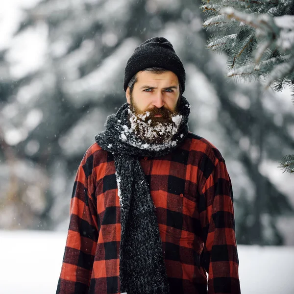 Weihnachten Hipster mit Hut auf Holz. — Stockfoto