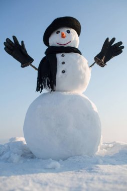 Yeni yıl kardan adam casus Ajan.