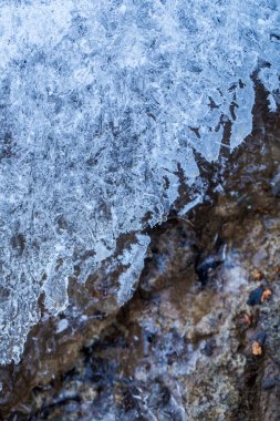 Noel, dondurulmuş ağaç kabuğu dokusu.