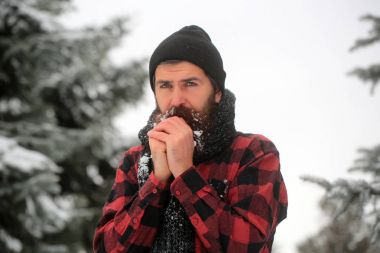 Kış tatili ve kutlama.