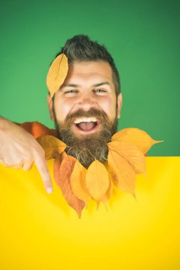 Berber ve Kuaför, yaprakları sakal.