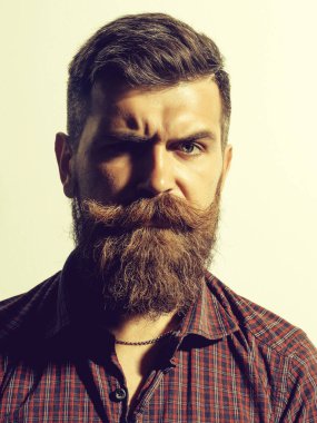 Sakallı adam hipster kaşlarını