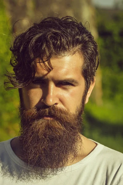 yakışıklı sakallı adam güneşli açık