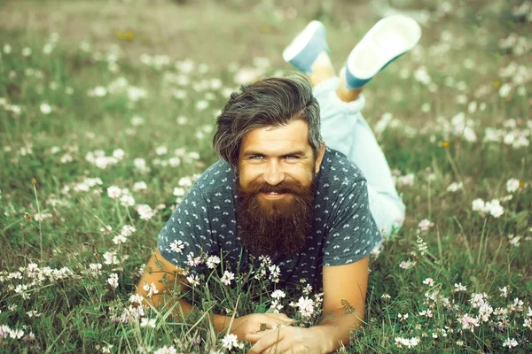 Uomo barbuto sdraiato su erba verde sorridente — Foto Stock