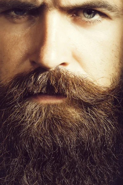 Hombre barbudo guapo — Foto de Stock