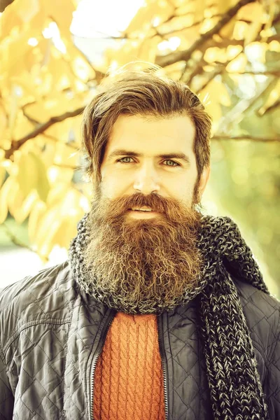 Hombre barbudo en el parque de otoño — Foto de Stock