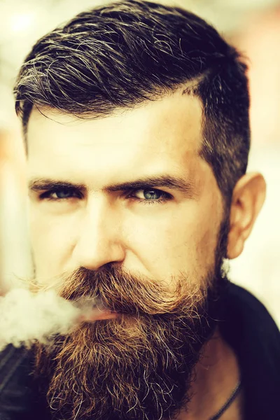 Barbudo con barba — Foto de Stock