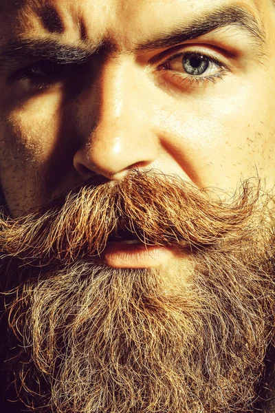 Serious bearded man hipster — Stock Photo, Image
