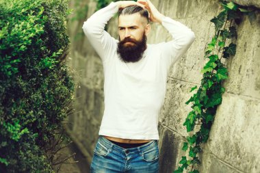 Şık sakallı adam açık