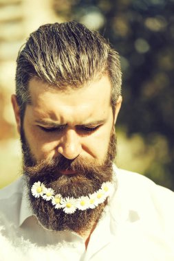 Sakallı yakışıklı adam.