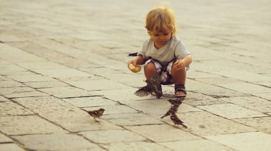 Baby boy feeding sparrows clipart
