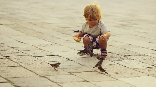 Дитячий хлопчик годує горобців — стокове фото