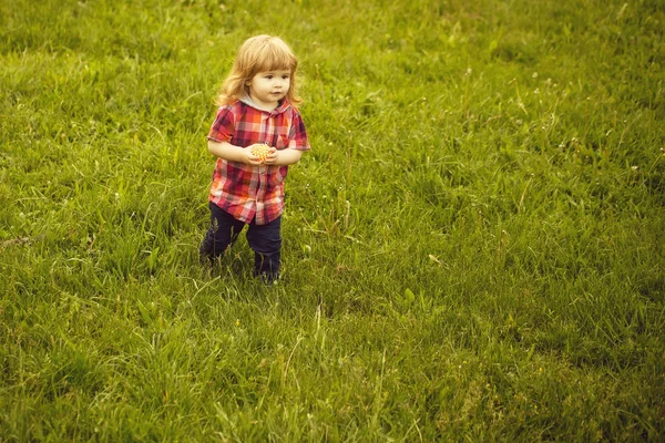 Kisfiú a zöld fű — Stock Fotó