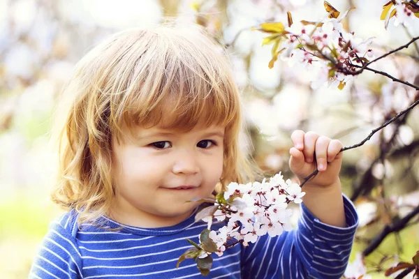 小男孩与开花 — 图库照片