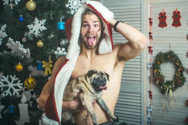 adam ile küçük köpek pug.