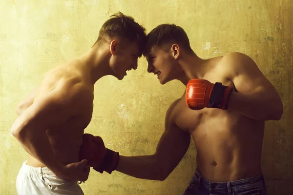 Erkekler İkizler, kızgın boksörler, erkek, eldiven ve yumruklarını ile mücadele