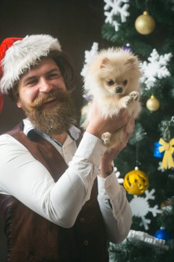 köpek yıl, Noel evde beslenen hayvan dostum