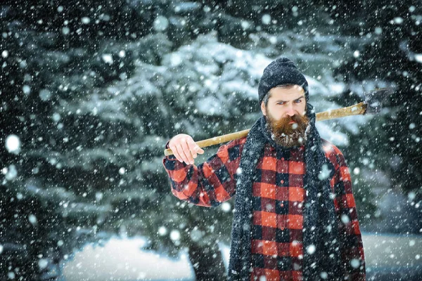 Vacanza invernale e celebrazione . — Foto Stock