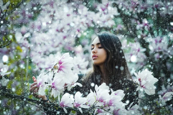 Skönhet och naturen, ungdom och friskhet, våren och sommaren, magnolia — Stockfoto