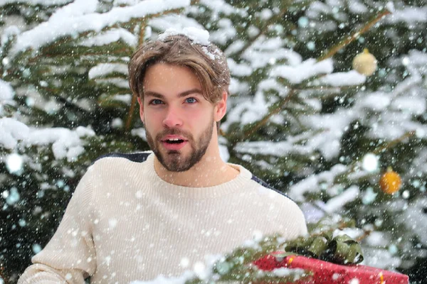 Άντρας με γένια πρόσωπο και χιόνι στα ξανθά μαλλιά — Φωτογραφία Αρχείου