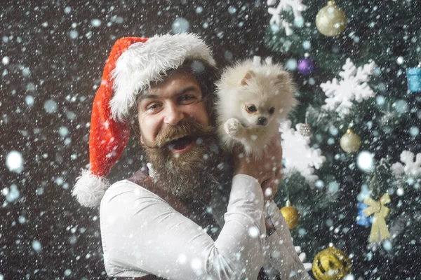Weihnachtsmann mit Haustier am Baum. — Stockfoto