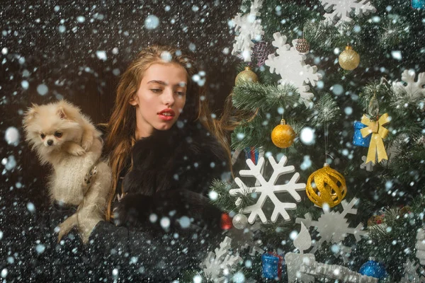 Noel Baba kız ile evde beslenen hayvan, ağaç. — Stok fotoğraf