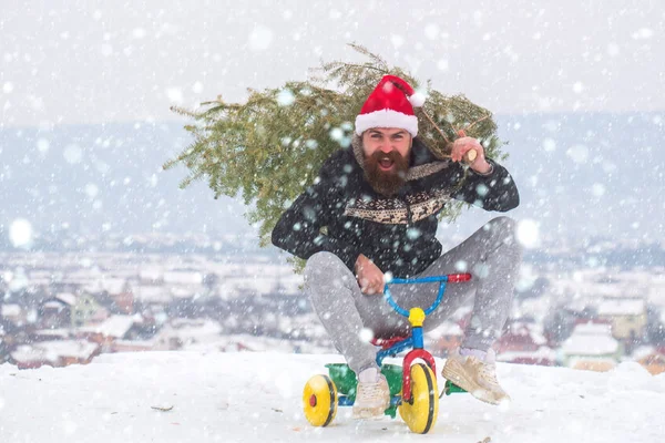 Felice hipster portando albero di Natale sulla neve bianca — Foto Stock