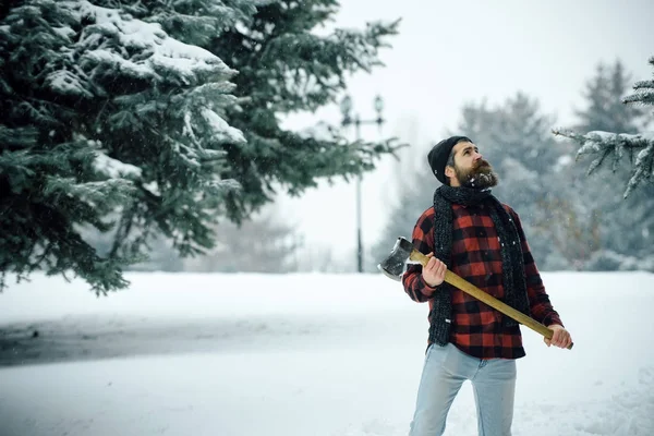 Yolculuk tutkusu, yürüyüş ve turistik.