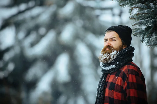 Vánoční muž s vousy na zasněžené zimní studené Les — Stock fotografie