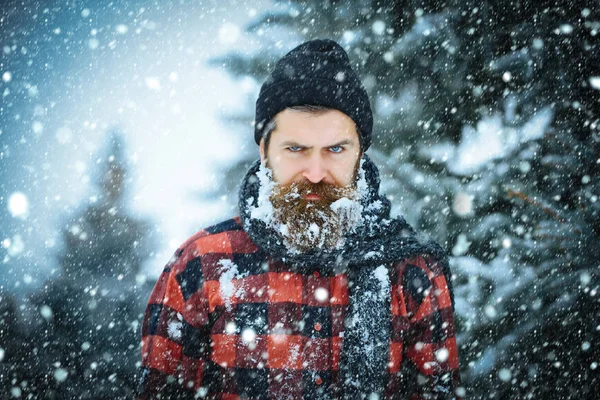 Kerst hipster in hat op hout. — Stockfoto