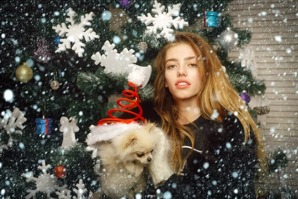 Yeni yıl köpek Noel kadın tutun evde beslenen hayvan — Stok fotoğraf