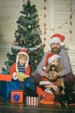 Noel Baba çocuk, sakallı adam, Noel ağacı.