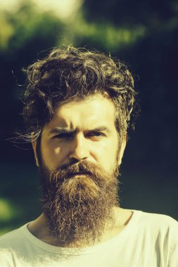 yakışıklı sakallı adam güneşli açık