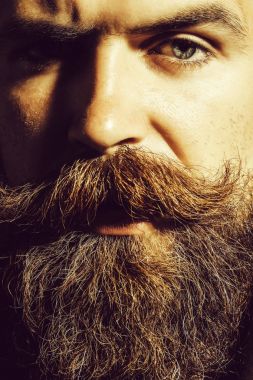 ciddi sakallı adam hipster