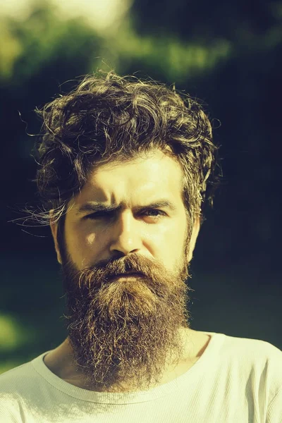 yakışıklı sakallı adam güneşli açık