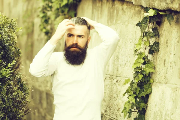 Şık sakallı adam açık