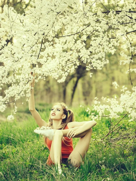 Söt flicka i blossom — Stockfoto