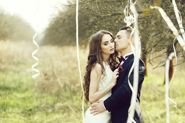 Cuplu de nuntă și panglici pe copac — Fotografie, imagine de stoc