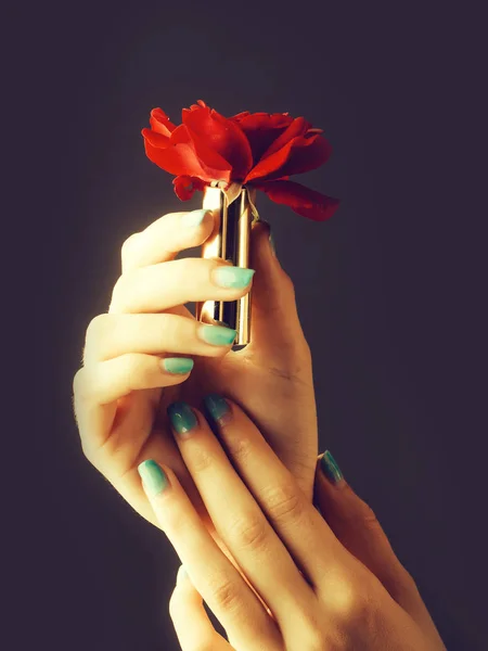 Kobiece ręce z czerwoną różą — Zdjęcie stockowe